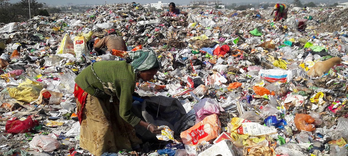 हामीले कति प्लास्टिक खाइरहेका छौं ?